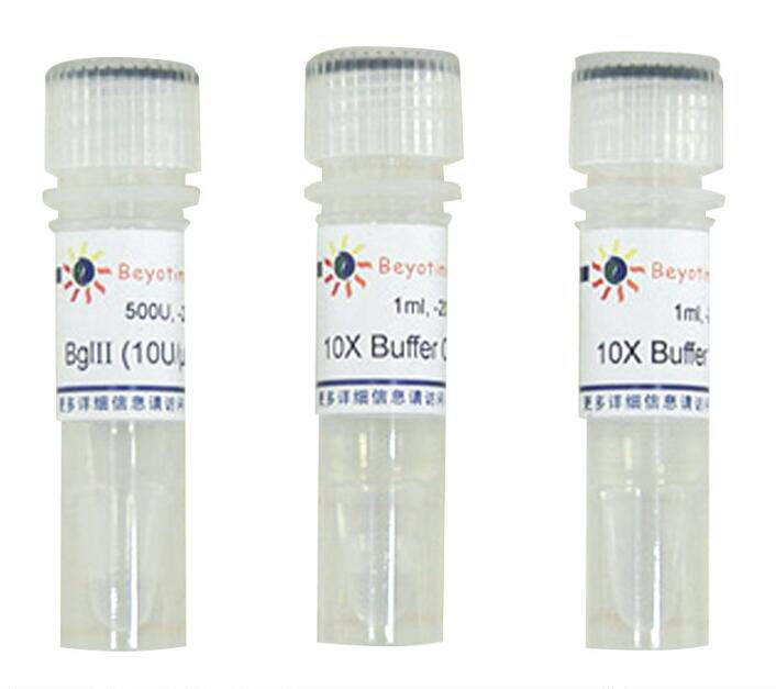 科研专用 经典 BglII内切酶   D6093  500U 碧云天生物 beyotime
