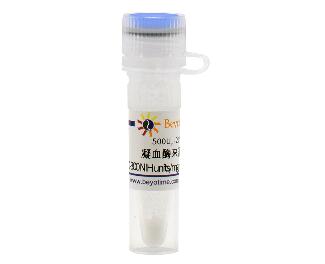 凝血酶来源于牛血浆(40-300NIH U/mg蛋白) ST1699-500U/2KU/10KU