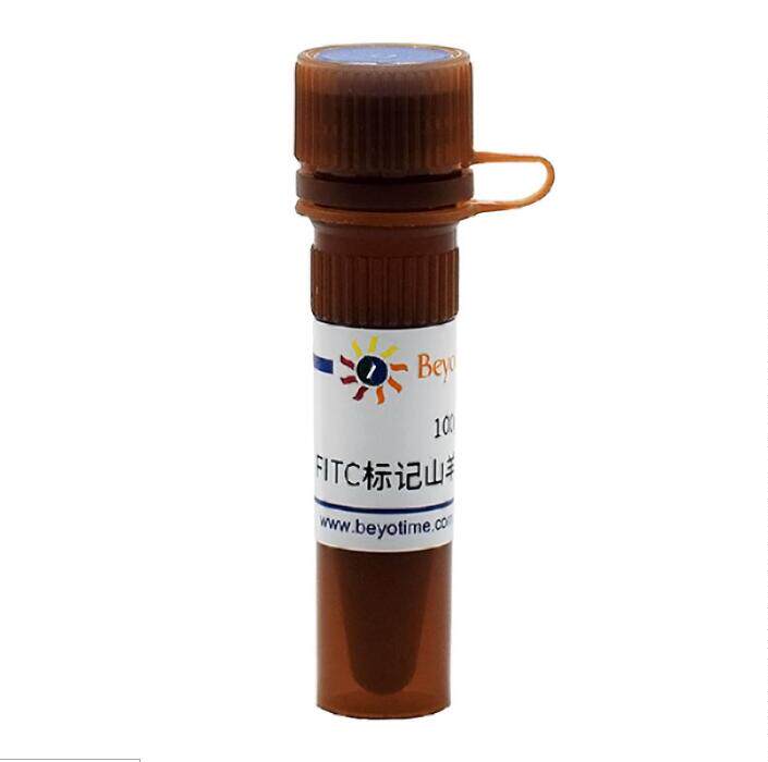 FITC标记山羊抗人IgG(H+L)   A0556  0.1ml 碧云天生物beyotime
