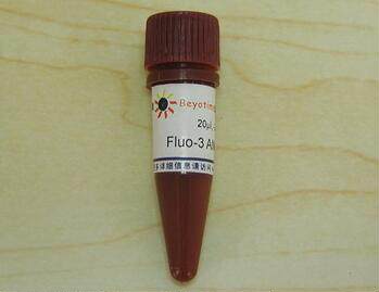 Fluo-3 AM (钙离子荧光探针, 5mM) S1056  20ul 碧云天 beyotime