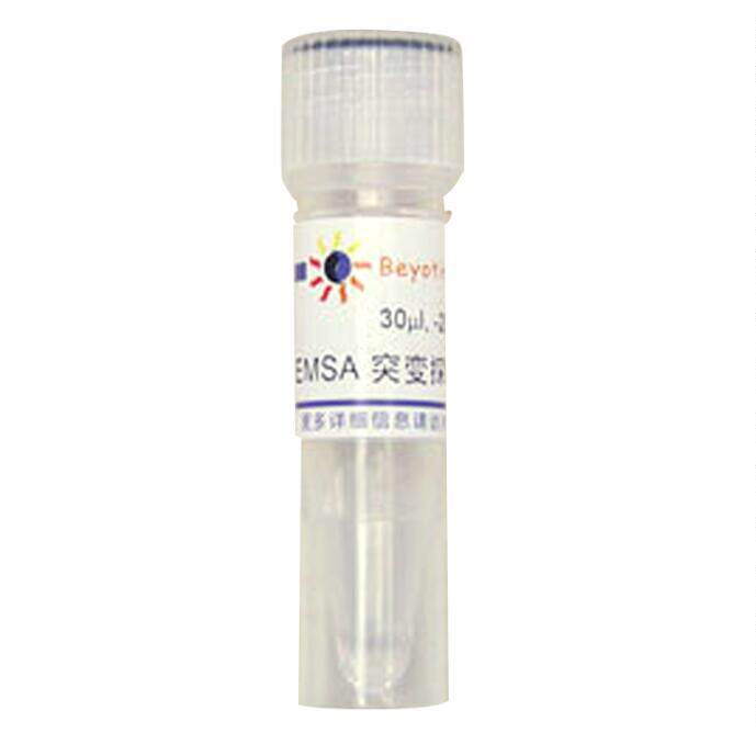 EMSA突变探针－AP2 (10&mu;M)  GS012T  30&mu;l 碧云天生物 beyotime