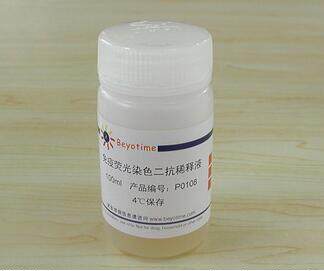 免疫荧光染色二抗稀释液/P0108免疫染色(非荧光)二抗稀释液/P0110