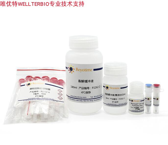 GST标签蛋白纯化试剂盒  P2262  10ml  碧云天生物 beyotime