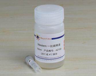 科研精品鼠单抗 AF1642 CD31 Rabbit Monoclonal Antibody  50&mu;l