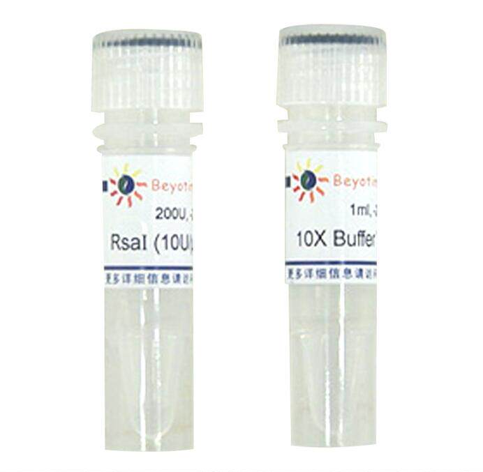 科研专用 经典产品 RsaI内切酶 D6585  200U 碧云天生物 beyotime