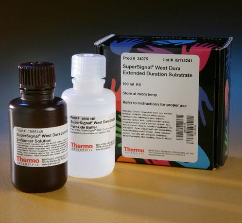 PIERCE 34075/100ml 34076/200ml SuperSignal持久型化学发光底物