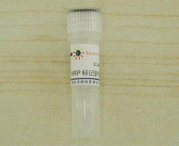 辣根过氧化物酶标记驴抗山羊IgG(H+L)  A0181  0.2ml 碧云天生物