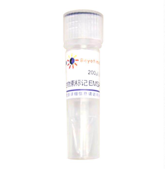 生物素标记EMSA探针－PPAR (0.2&mu;M) GS072B  200&mu;l 碧云天生物