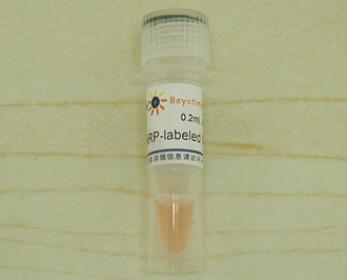 辣根过氧化物酶标记Streptavidin  A0303  0.2ml 碧云天 beyotime