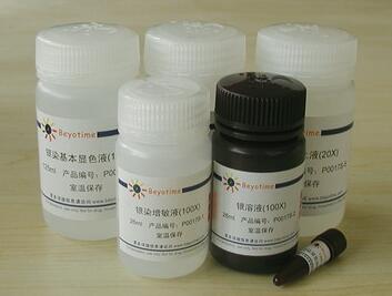 快速银染试剂盒   P0017S  25次  碧云天生物 beyotime