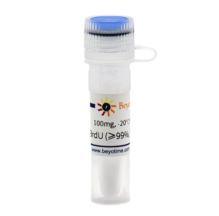 BrdU (&ge;99%, Reagent grade) ST1056-100mg/500mg/2g 碧云天生物