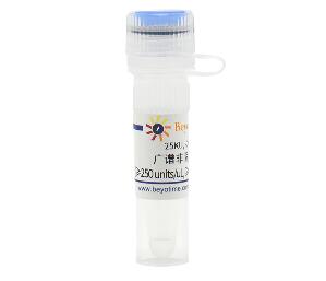 广谱非限制性核酸酶(&ge;250 units/uL, &ge;80%,试剂级) ST1128-25KU