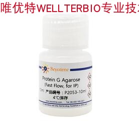 Protein G Agarose (Fast Flow, for IP)   P2053系列 碧云天生物