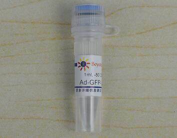 Ad-mCherry-GFP-LC3B C3011-1ml C3011-10ml 碧云天生物 beyotime