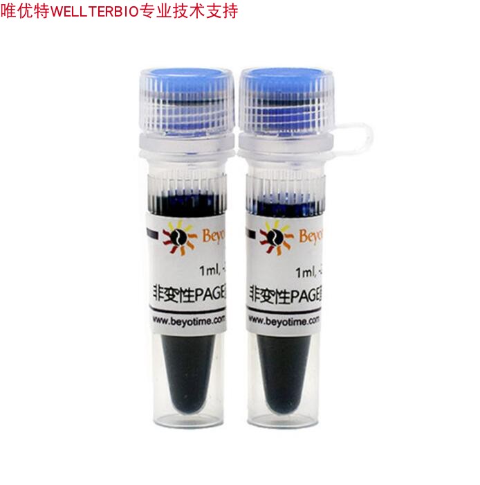 非变性PAGE蛋白上样缓冲液(5X)  P0016  2ml 碧云天生物 beyotime