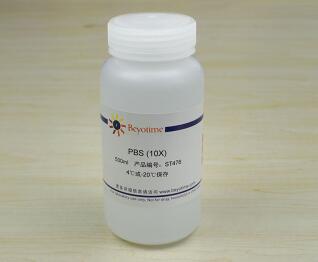科研专用 经典 PBS (10X)   ST476  500ml  碧云天生物 beyotime
