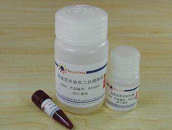 免疫荧光染色试剂盒-抗兔FITC  P0186/300次 碧云天生物 beyotime