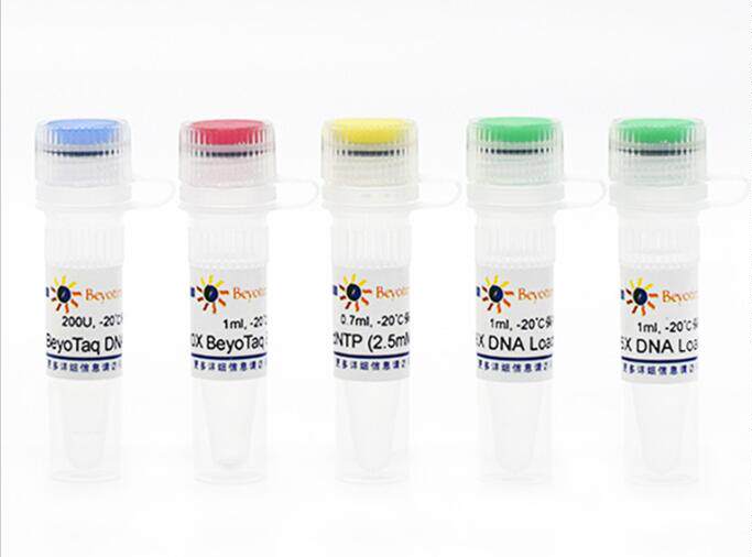 科研用 PCR Kit with BeyoTaq  D7237 400次 碧云天生物 beyotime