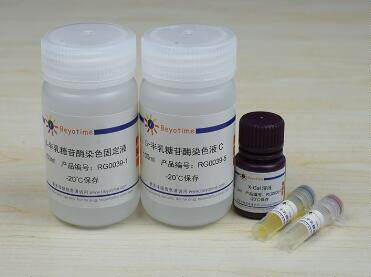 &beta;-半乳糖苷酶原位染色试剂盒 RG0039 大于100次 碧云天 beyotime