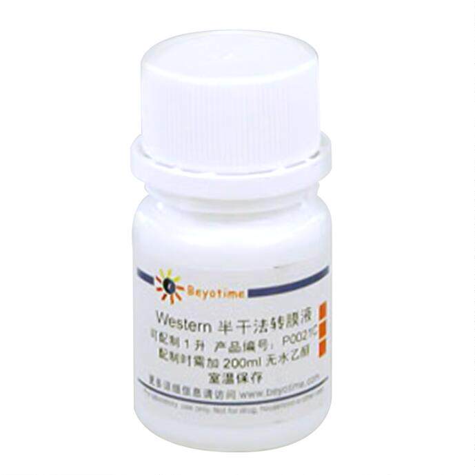 Western半干法转膜液  P0021C/1L P0021D/10&times;1L 碧云天 beyotime