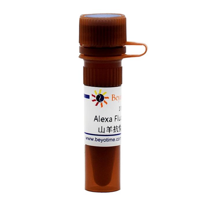 Alexa Fluor 488标记山羊抗兔IgG(H+L)  A0423  0.1ml 碧云天生物
