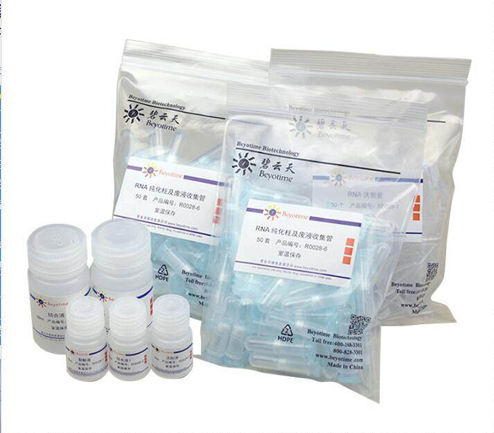 科研经典产品 RNAeasy动物小RNA抽提试剂盒(离心柱式) R0028/50次