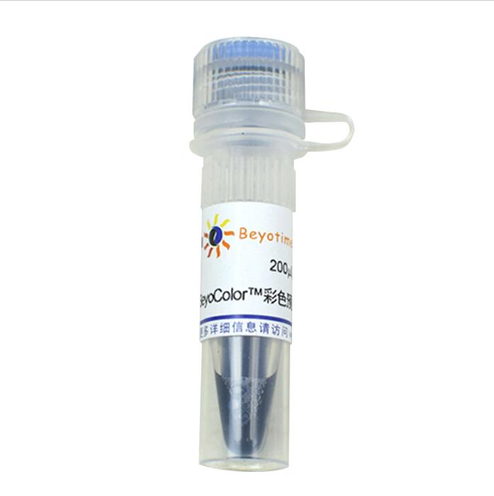 BeyoColor?彩色预染蛋白分子量标准(6.5-270kD)   P0071/P0072