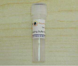 Annealing Buffer for RNA Oligos (5X) R0051/1ml 碧云天生物