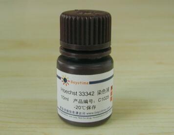 Hoechst 33342染色液 C1025/10ml C1026/50ml碧云天生物 beyotime