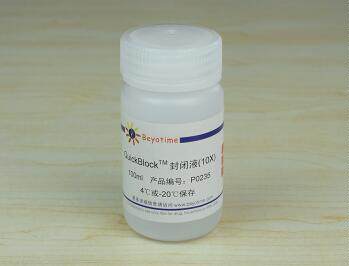 Quickblock?封闭液(10X)   P0235  100ml 碧云天生物 beyotime
