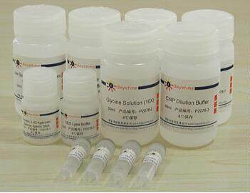 科研专用 ChIP Assay Kit   P2078 22次  碧云天生物 beyotime