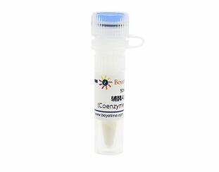 辅酶A水合物(Coenzyme A hydrate) ST353-10mg/50mg/200mg/1g