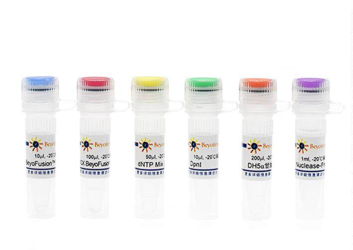 QuickMutation?基因定点突变试剂盒 D0206 10次 碧云天 beyotime