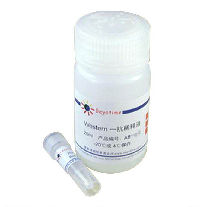 Bax抗体(小鼠单抗)   AB026  20次 碧云天生物 beyotime