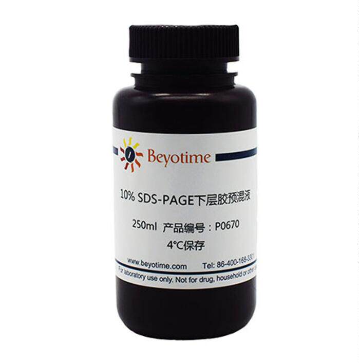 SDS-PAGE下层胶预混液 P0670/P0672/P0675/P0676/P0678碧云天生物