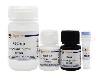 钙含量显色检测试剂盒  S1063S  200次 碧云天生物 beyotime
