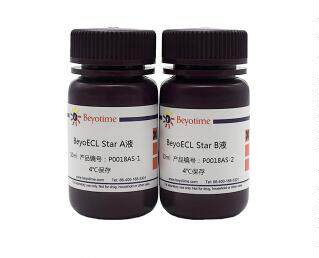 BeyoECL Star (特超敏ECL化学发光试剂盒)P0018AS/P0018AM 碧云天