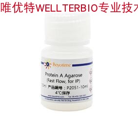 Protein A Agarose (Fast Flow, for IP)  P2051系列 碧云天生物