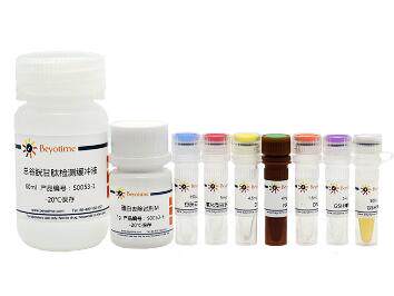 经典 GSH和GSSG检测试剂盒  S0053 共100次 碧云天生物 beyotime