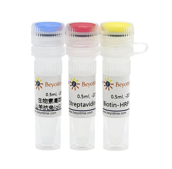SABC-HRP Kit with Anti-Rabbit IgG(IHC&amp;ICC)P0615/500次 碧云天