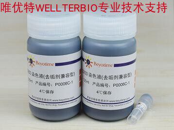 Bradford蛋白浓度测定试剂盒(去垢剂兼容型) P0006C 800次 碧云天