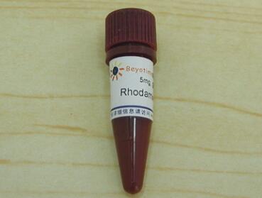 科研专用 经典 Rhodamine 123   C2007  5mg 碧云天生物 beyotime