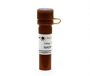 还原型辅酶Ⅱ四钠盐 NADPH ST360-10mg/50mg/200mg/1g 碧云天生物