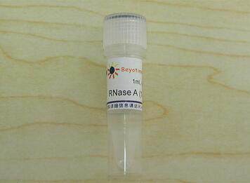 核糖核酸酶A RNase A (10mg/ml)  ST578/1ml 碧云天生物 beyotime