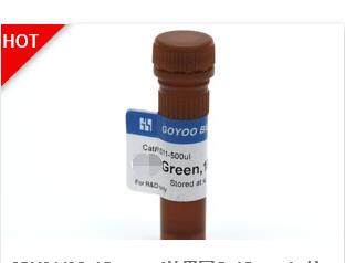 电泳级SUPER Green I(同SYBR Green I)核酸染料/10,000&times;DMSO溶液