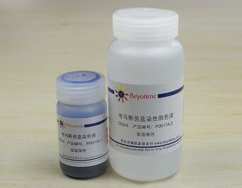 考马斯亮蓝染色试剂盒(常规法)   P0017A  碧云天生物 beyotime