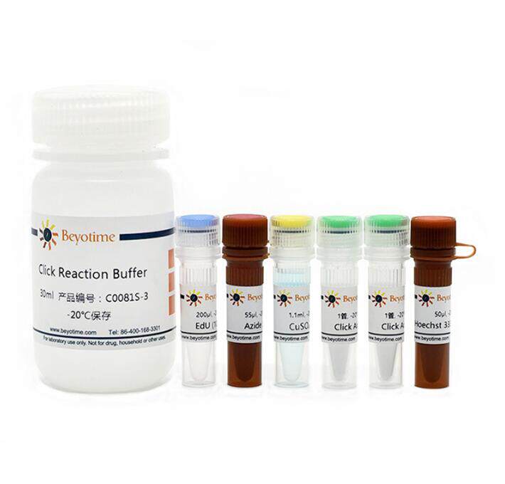 BeyoClick? EdU-647细胞增殖检测试剂盒  C0081S/C0081L 碧云天