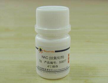 科研专用经典 NAC (抗氧化剂)  S0077  2g 碧云天生物 beyotime