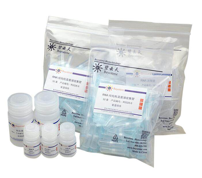 RNAeasy?动物小RNA抽提试剂盒(离心柱式) R0028/50次 碧云天生物