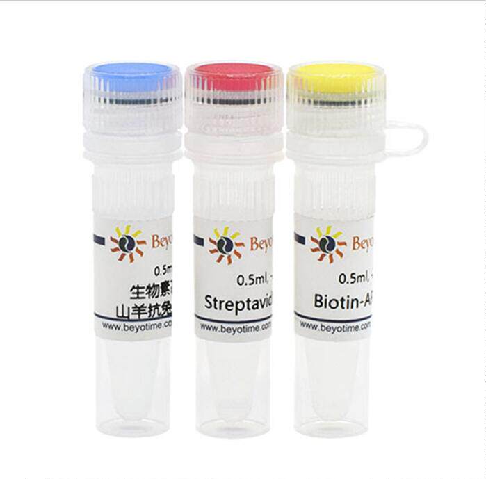 SABC-AP Kit with Anti-Rabbit IgG (IHC&amp;ICC)P0628/500次 碧云天
